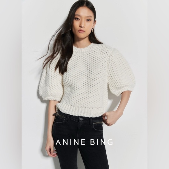Anine Bing Brittany Balloon Short Sleeve Knit Sweater - Picture 5 of 10